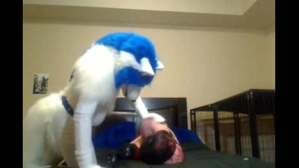 Porno Gay Furry